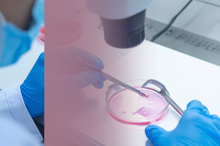 IVF in 2026: What's New and What to Expect